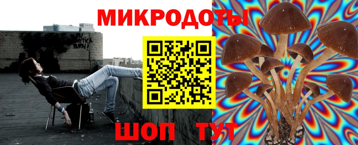 Галлюциногенные грибы мицелий Екатеринбург